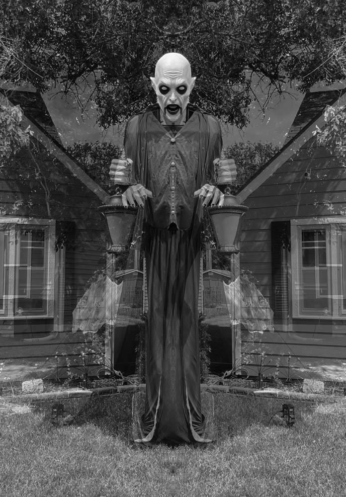 Jack, by Jennifer Weigel