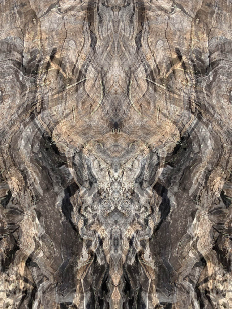Shallow Depth, by Jennifer&nbsp;Weigel